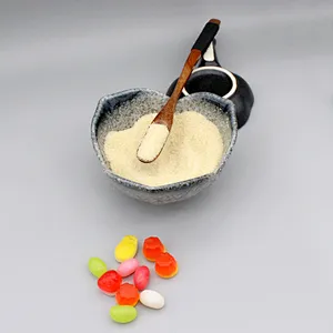 Hot selling halal food grade gelatin powder beef gelatin fish gelatin