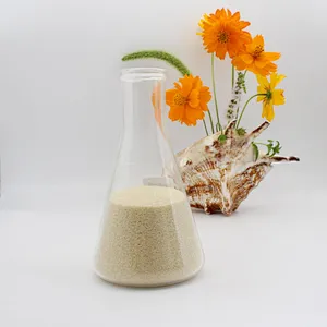 Hot selling halal food grade gelatin powder beef gelatin fish gelatin